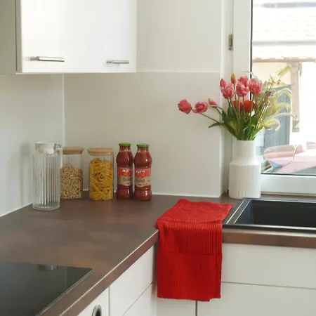 Modern House Near The Airport & Tradefair Grounds *